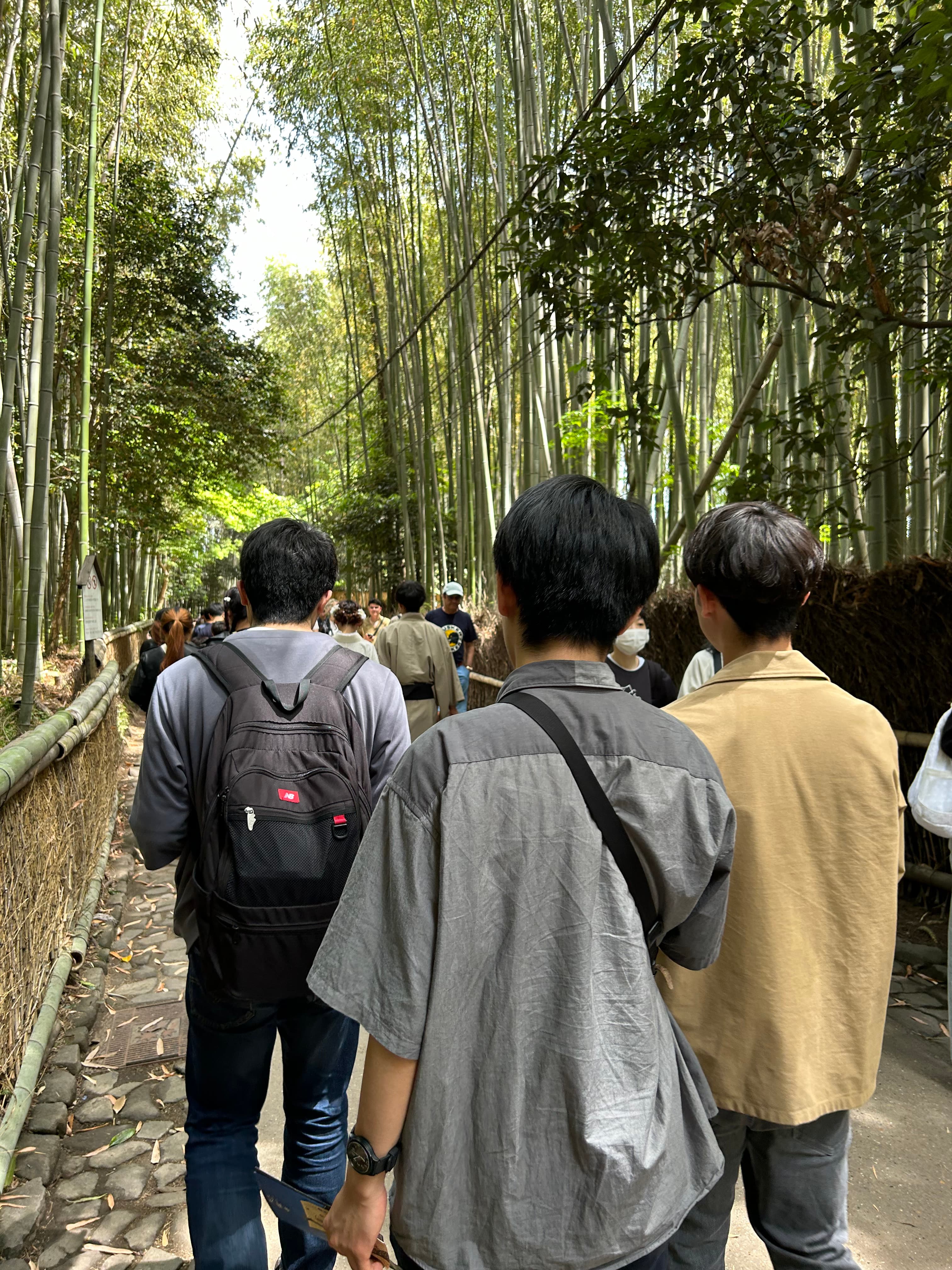 京都観光の様子