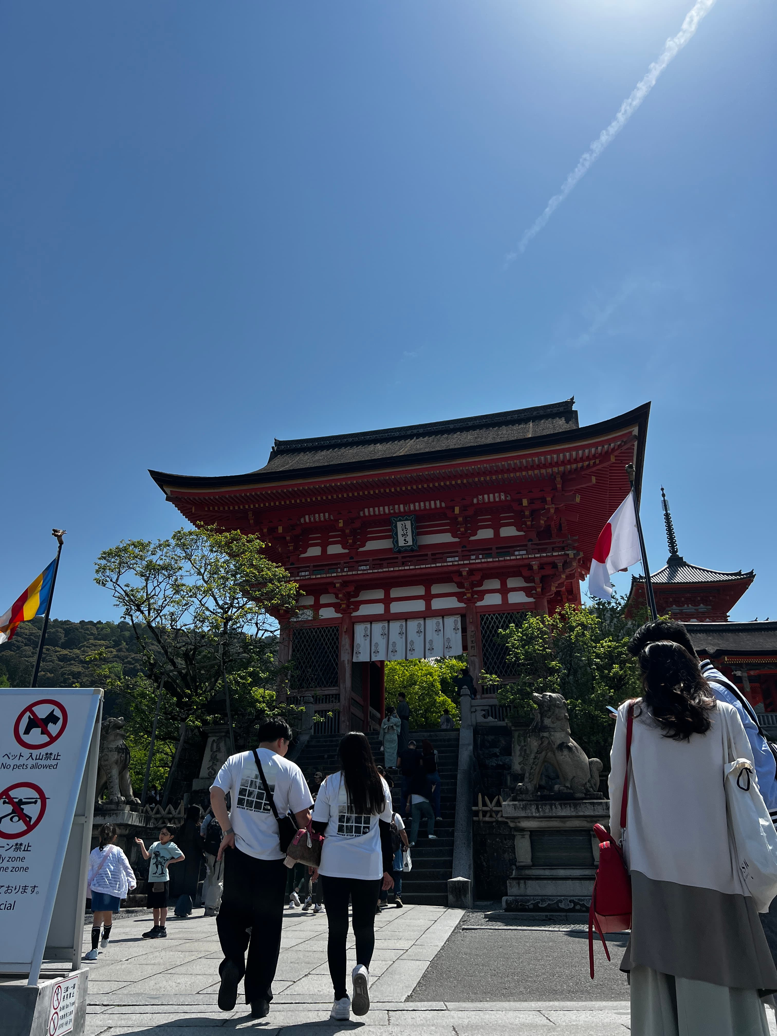 「京都観光」の様子を掲載しました。