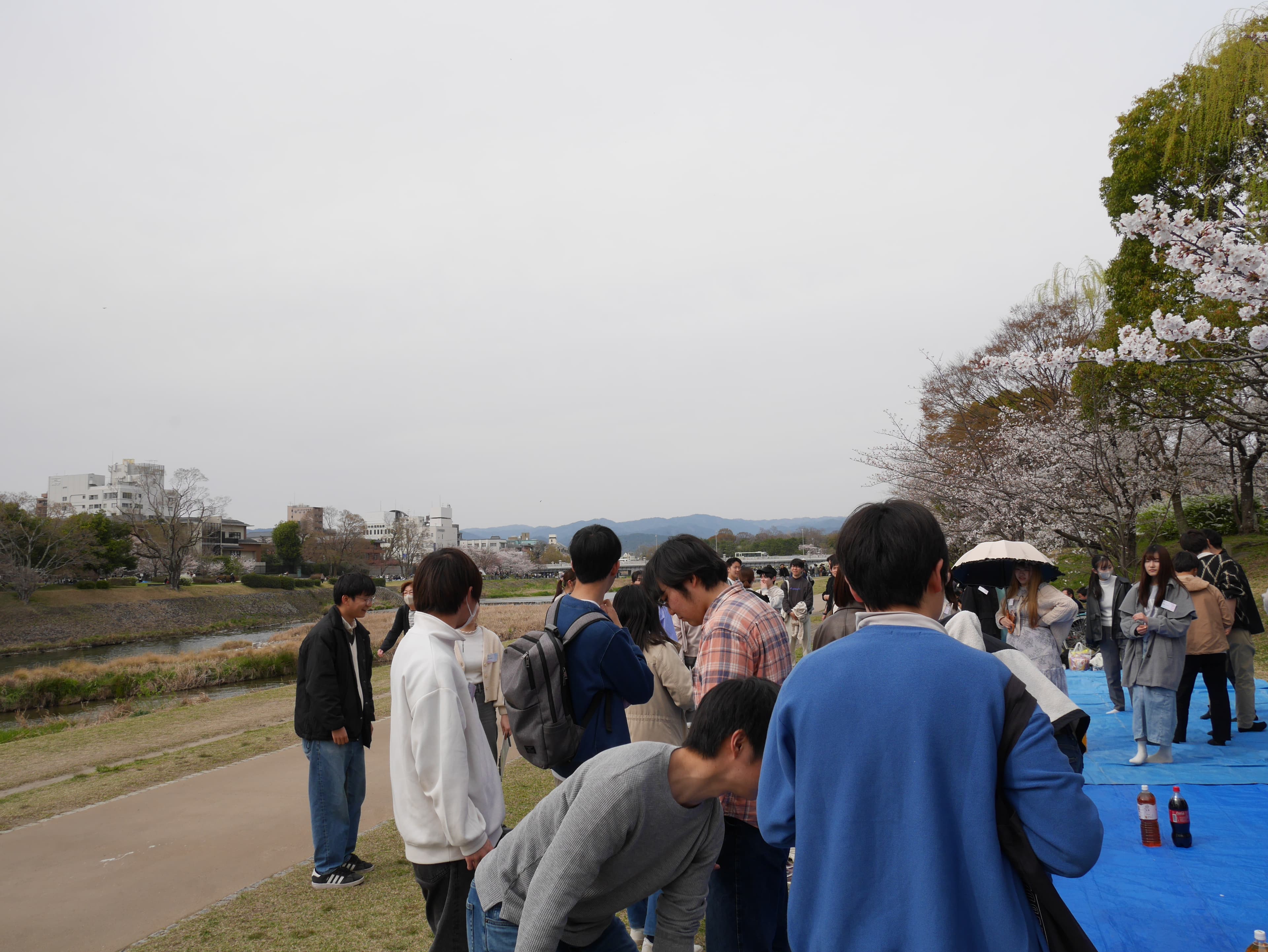 「お花見」の様子を掲載しました。
